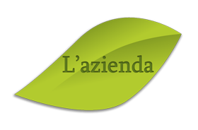 azienda